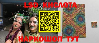 гидропоника Донской
