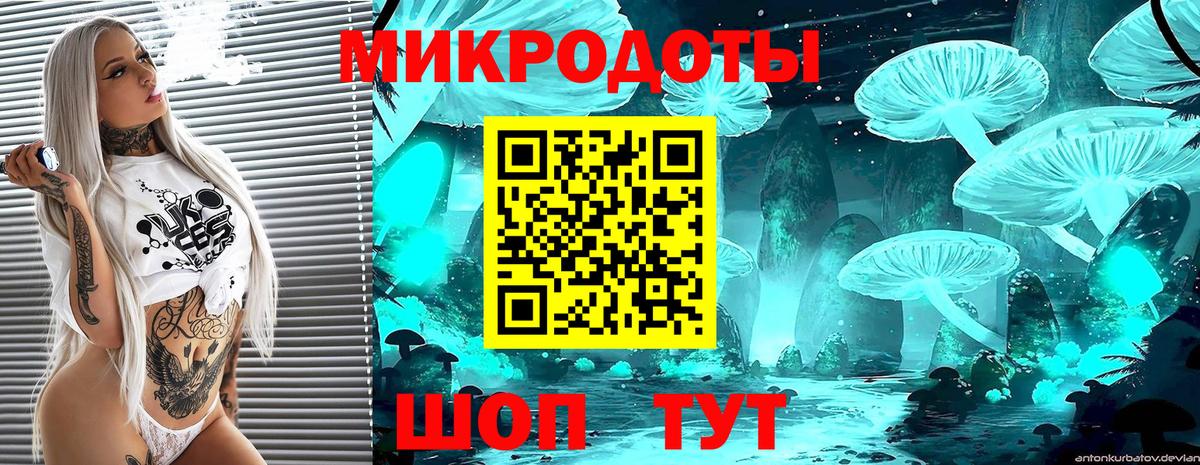 Галлюциногенные грибы Magic Shrooms Гудермес
