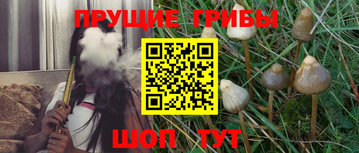 Галлюциногенные грибы Psilocybe  Вход с VPN  Гудермес 
